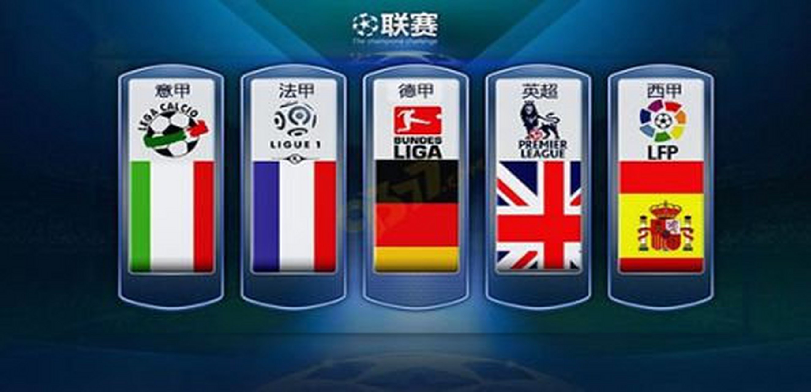 胞们正